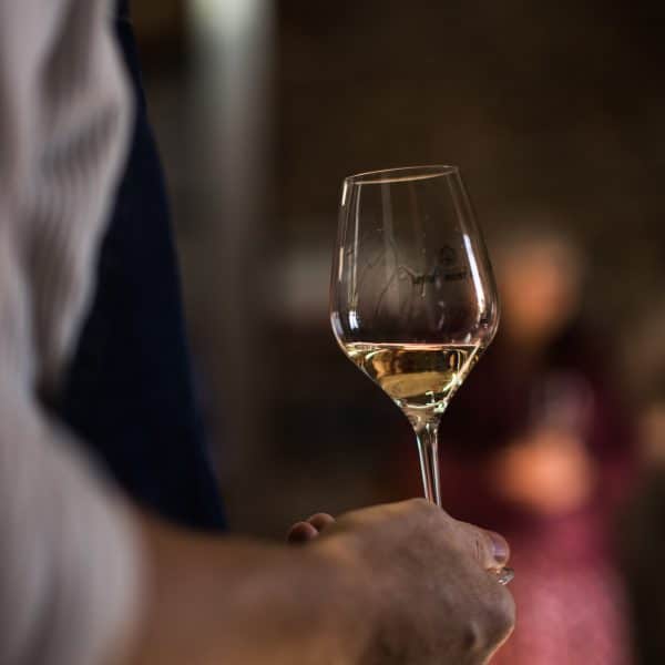 Les résultats 2025 du Concours Communal des Vins sont là !