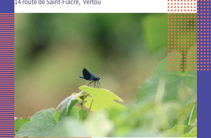 Conférence : « vin et biodiversité : les expérimentations du domaine des Trois…