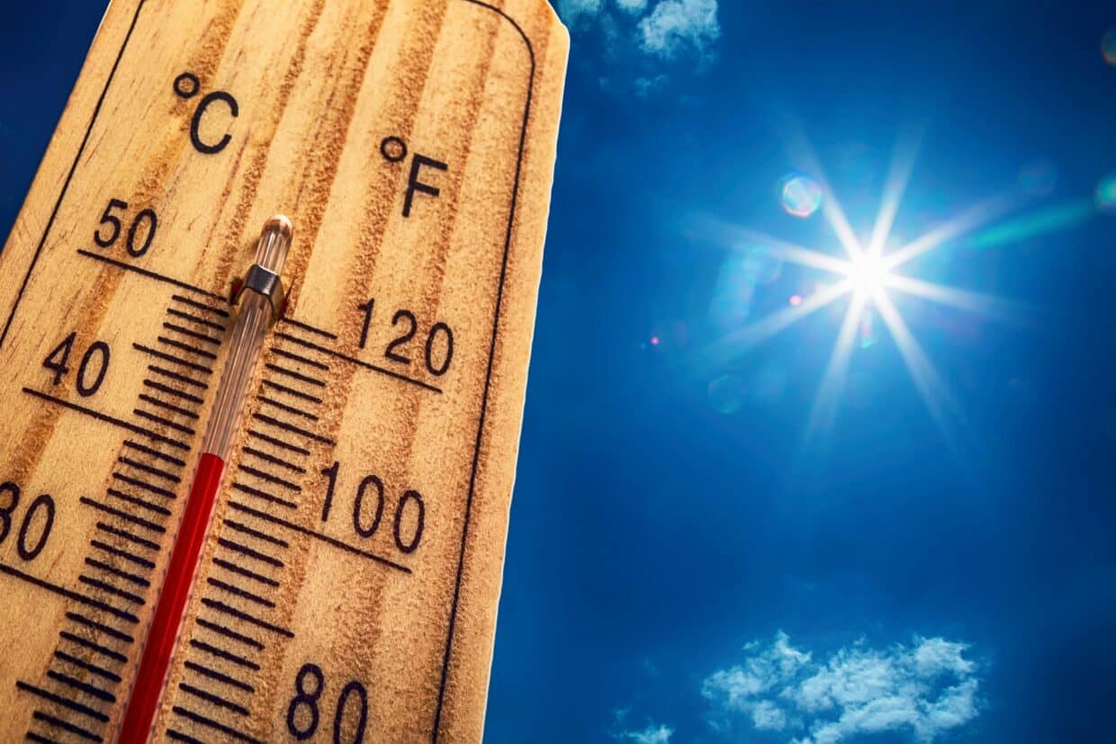 Canicule : les recommandations essentielles
