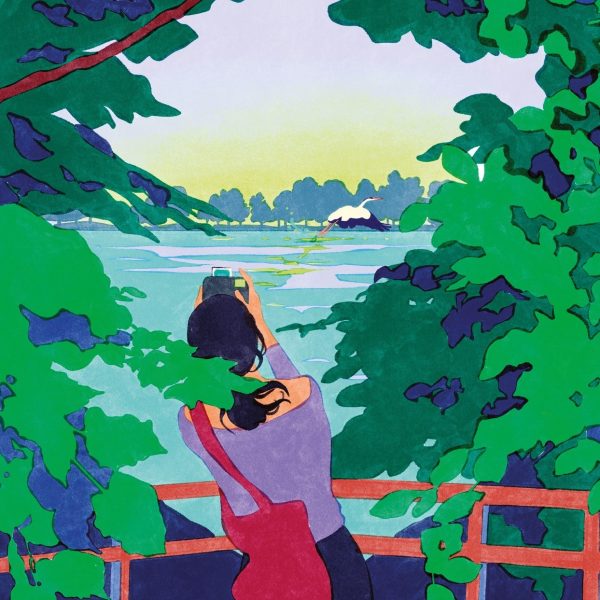 LANCEMENT DE L’ETOILE VERTE : UN DIMANCHE NATURE ET ARTISTIQUE