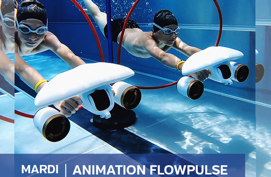 Animation flowpulse