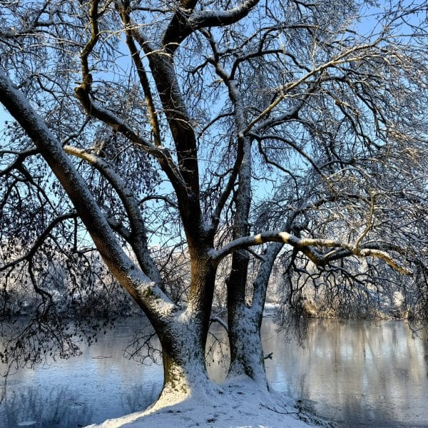 Balade hivernale : Vous et la Sèvre !