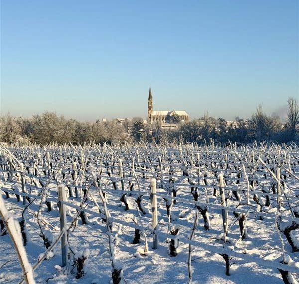 Les mesures prises par la Ville suite aux intempéries