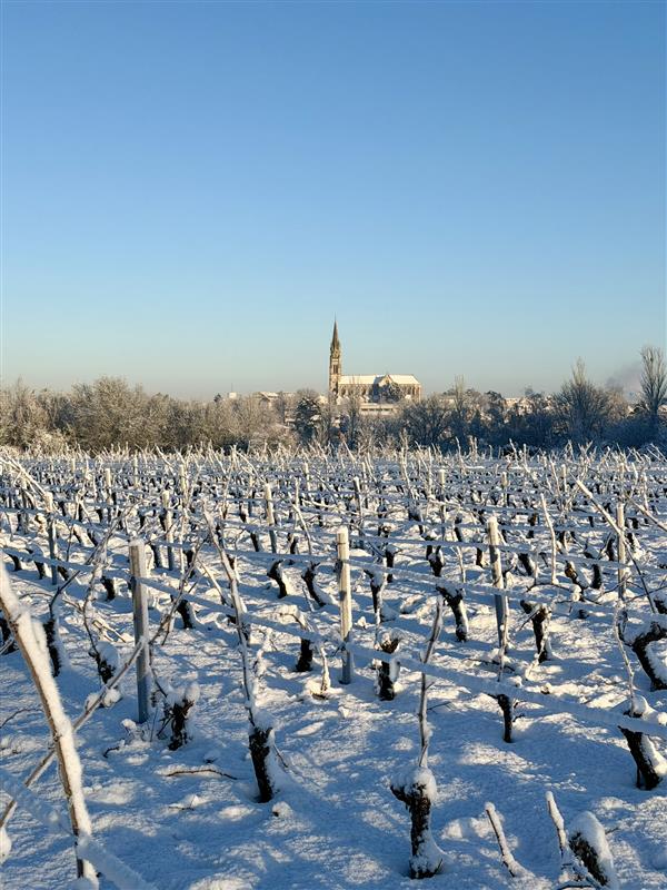Les mesures prises par la Ville suite aux intempéries