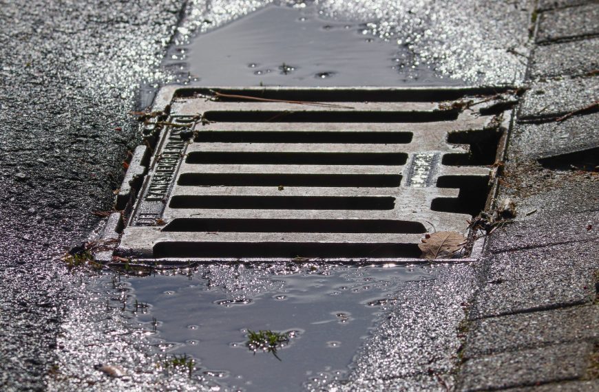 Place de l&rsquo;Asile – mars/avril 2026